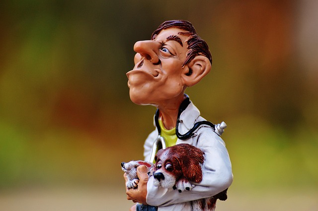 affiliated veterinary emergency service