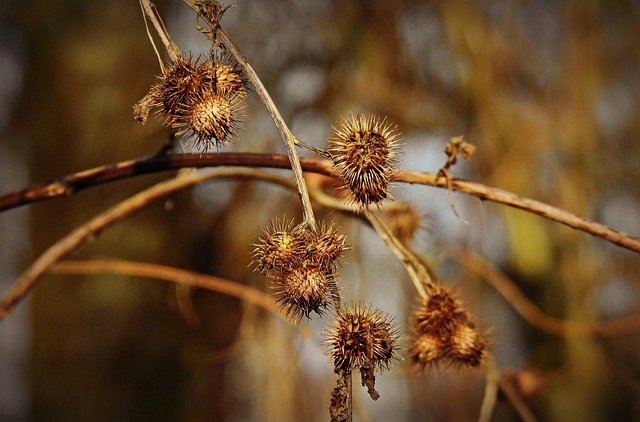 century 21 affiliated