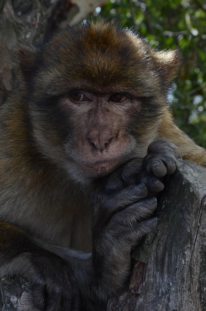 dark might you're not affiliated with me