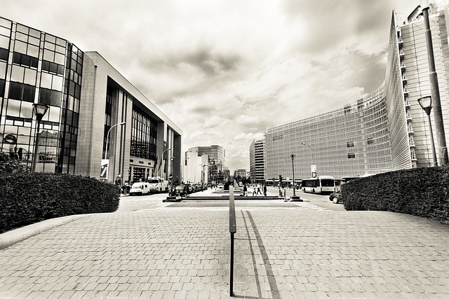 expertoption affiliate commission percentage