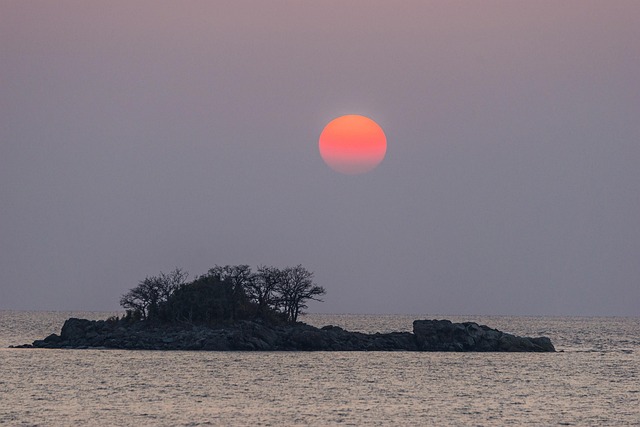 joe rogan political affiliation