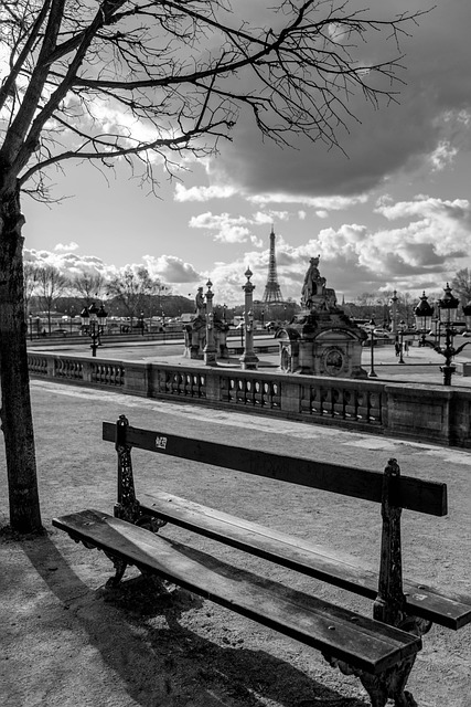 orthopedic affiliates concord massachusetts